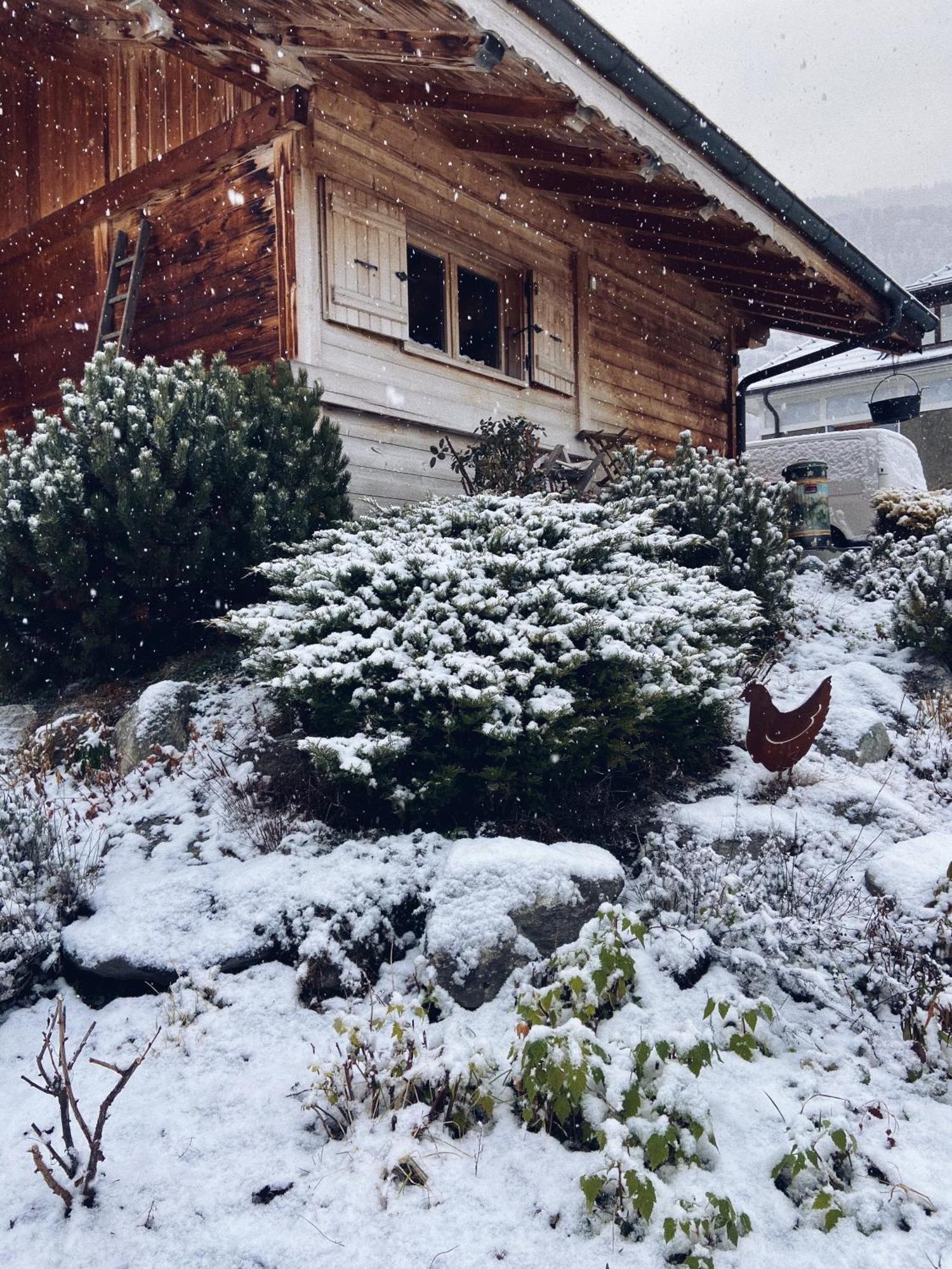Grand Chalet A La Montagne Bourg-Saint-Maurice Dış mekan fotoğraf